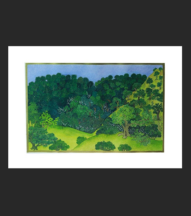 Forest